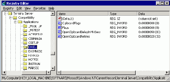Флаги совместимости Terminal Services